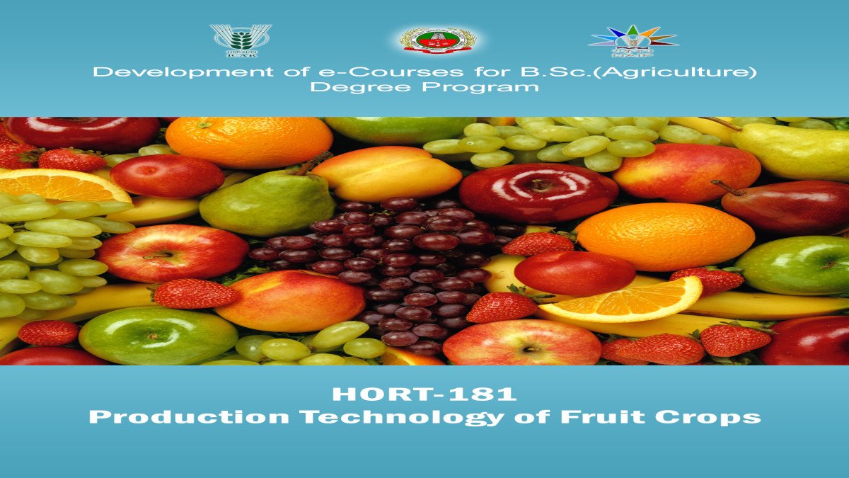 production technology, Production Technology of Fruit Crops