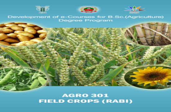 field crops (rabi)