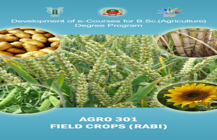 field crops (rabi)