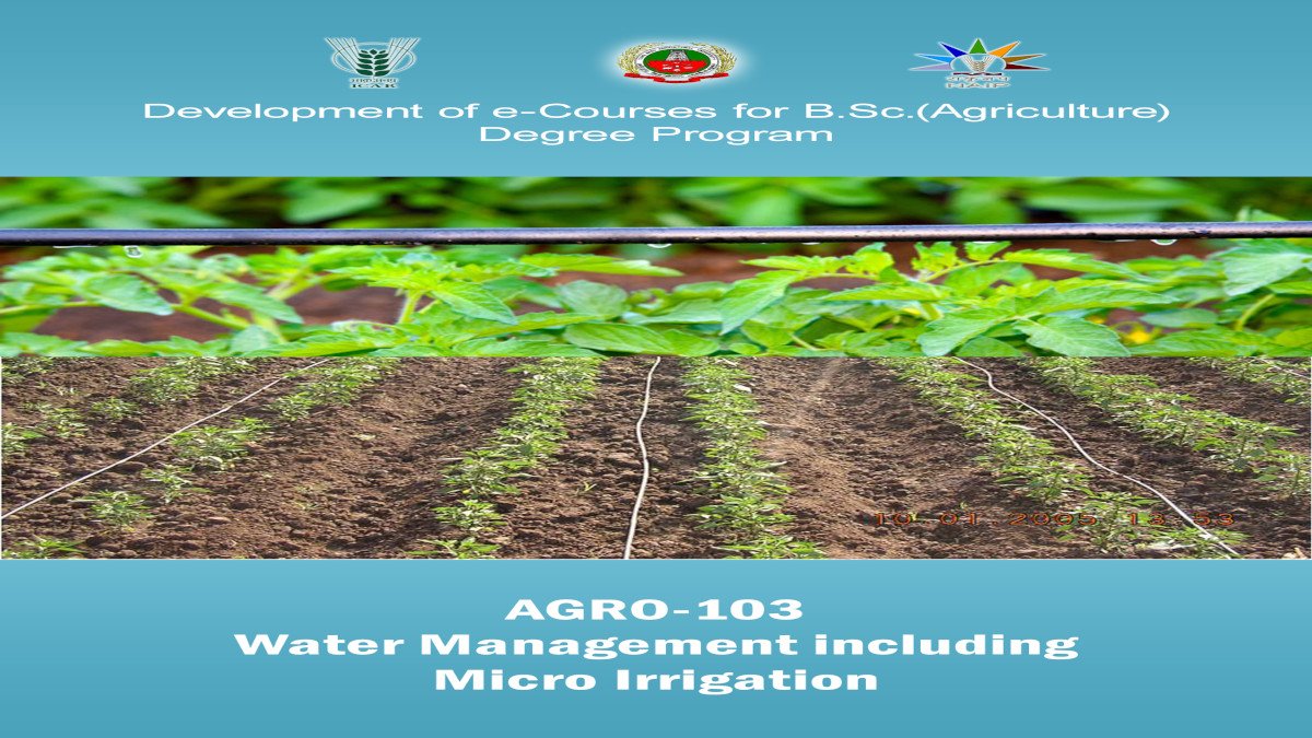 micro irrigation