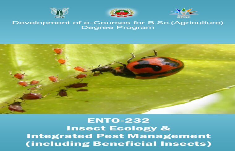 insect ecology