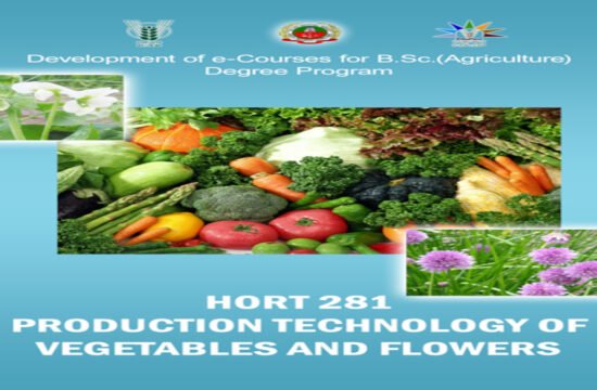 vegetables and flowers