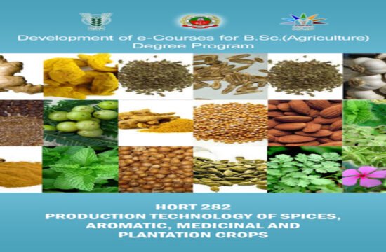 production technology of spices