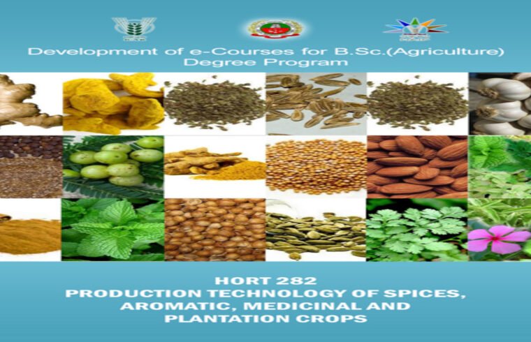 production technology of spices