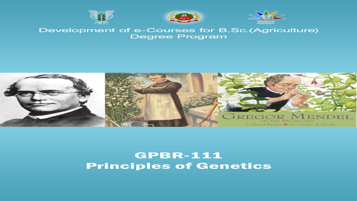 principles of genetics