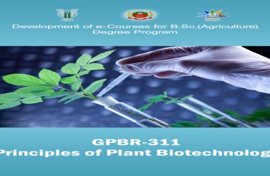 principles of plant biotechnology