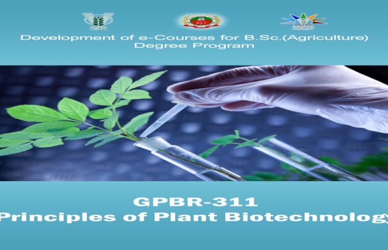 principles of plant biotechnology