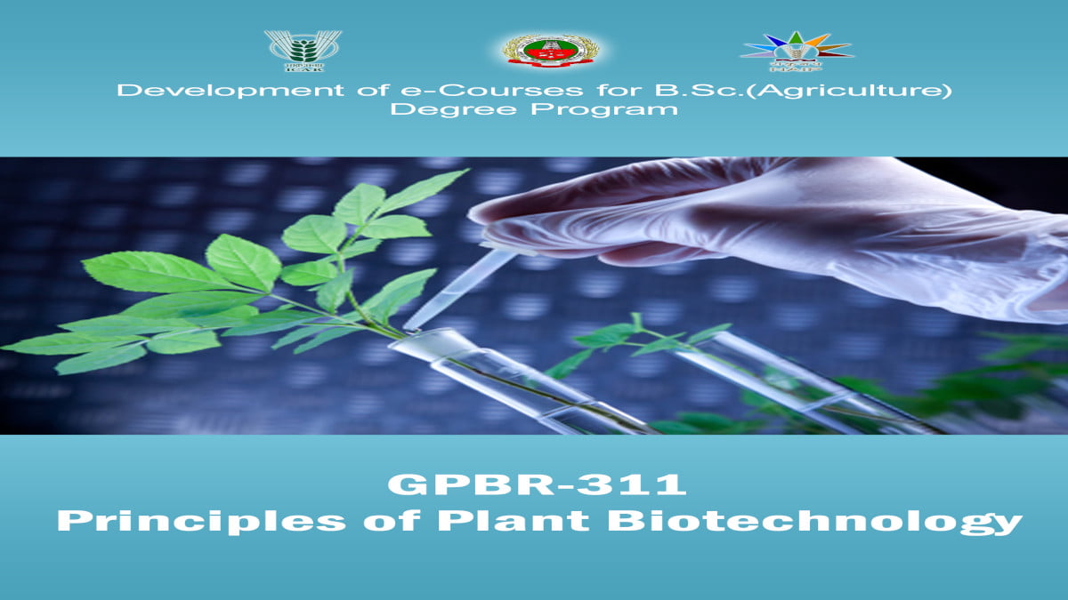 principles of plant biotechnology