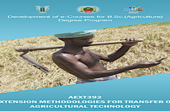 extension methodologies